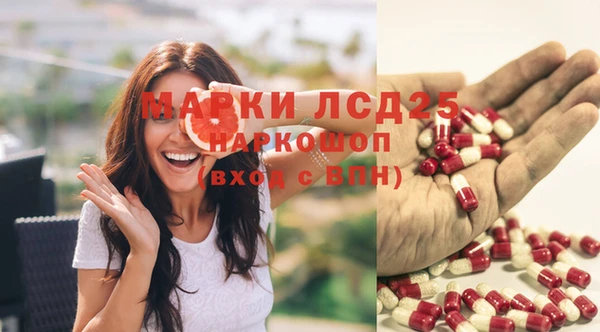 каннабис Аркадак