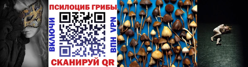 Псилоцибиновые грибы GOLDEN TEACHER  Талдом 