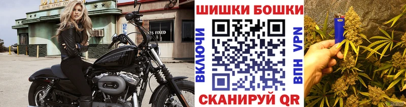 Бошки Шишки семена  Талдом 